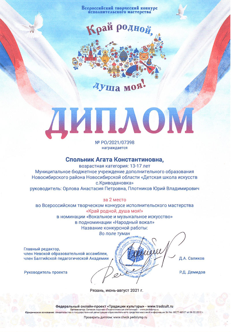 Дипломы