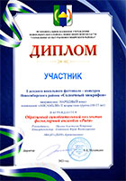 Дипломы
