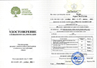 Дипломы