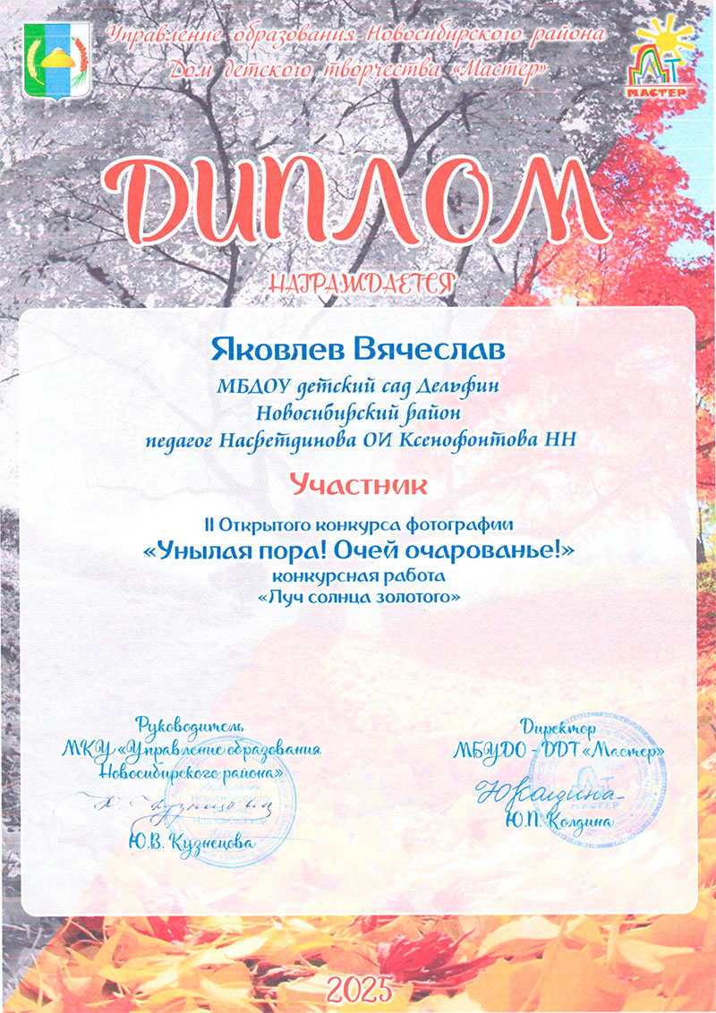 Дипломы