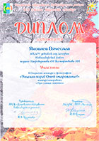 Дипломы