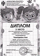 Дипломы
