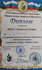 Дипломы
