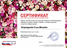 Дипломы